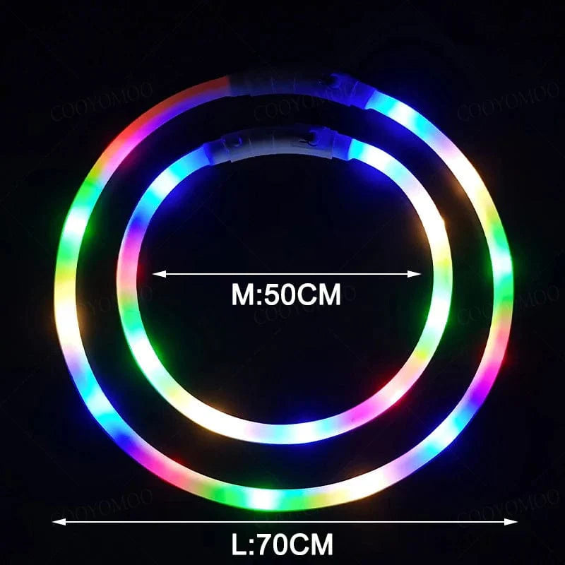 3 Modi Hund Luminou Ladehalsband Led Usb Katze Silikon Farbiger Kragen Abnehmbares Nachtleuchten Haustier Verlustprävention Hunde Zubehör | Brehn