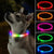 3 Modi Hund Luminou Ladehalsband Led Usb Katze Silikon Farbiger Kragen Abnehmbares Nachtleuchten Haustier Verlustprävention Hunde Zubehör | Brehn