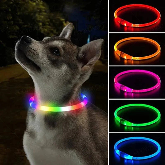 3 Modi Hund Luminou Ladehalsband Led Usb Katze Silikon Farbiger Kragen Abnehmbares Nachtleuchten Haustier Verlustprävention Hunde Zubehör | Brehn