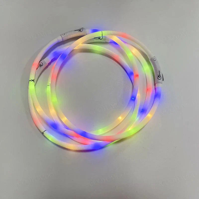 3 Modi Hund Luminou Ladehalsband Led Usb Katze Silikon Farbiger Kragen Abnehmbares Nachtleuchten Haustier Verlustprävention Hunde Zubehör | Brehn