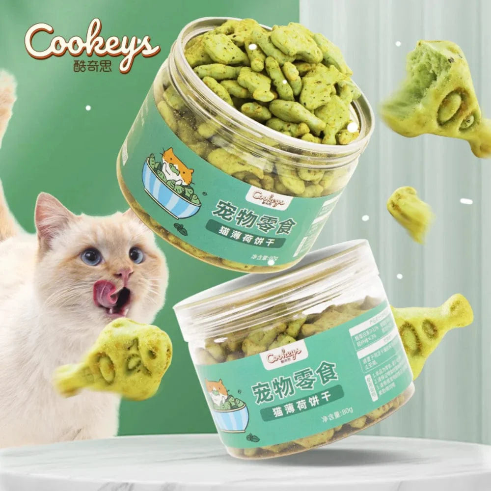 Kat Minze Keks Katze Essend Snack Haustier Mahlzahn Ernährung Dickmachend Kätzchen Snack Erwachsen Katze Belohnung | Brehn