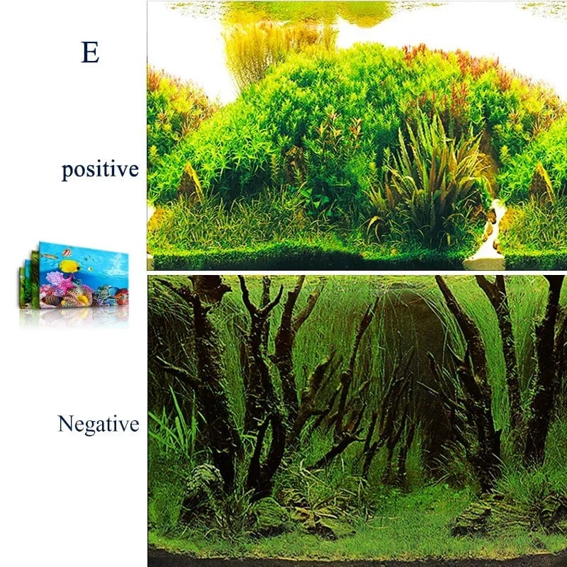 3D-Marine-Hintergrund für Aquarien-Dekoration Aufkleber & Poster Waren Dekoration Fischbehälter und Aquarien Zubehör Aquascape | Brehn