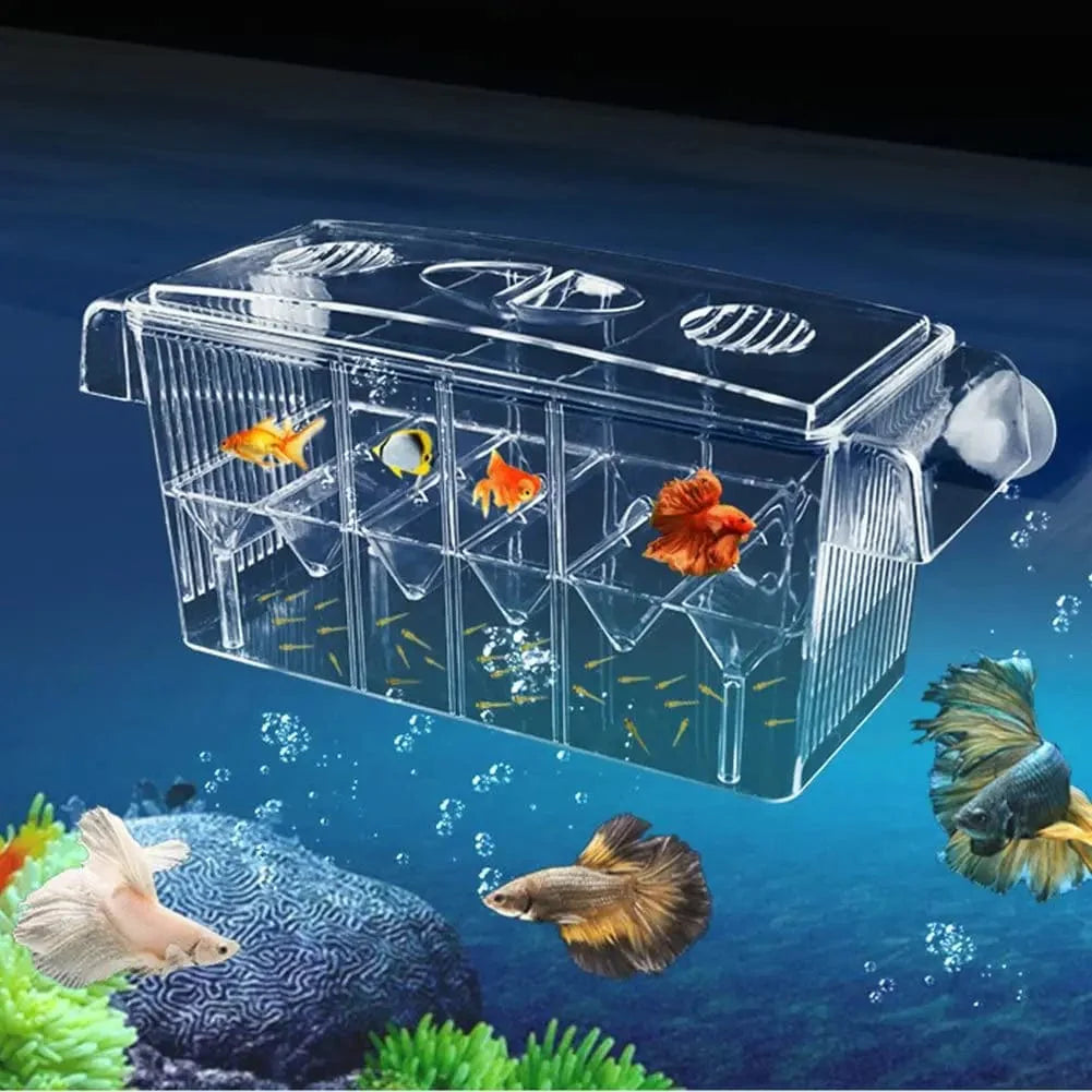 Aquarium Zucht Inkubator Isolationsbox Doppelter Layer 4 Räume Transparentes Acryl Selbstschwimmende Fischbrutkasten Fischtank | Brehn