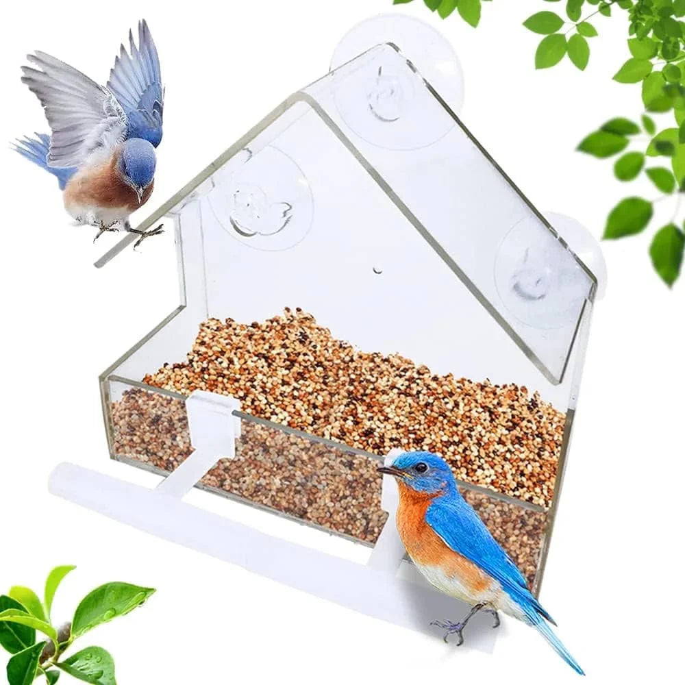 Acrylklarer Glasfenster Vögel hängender Futterspender Vogelhaus Nahrung Fütterung Haus Tisch Saat Erdnuss Saugnapf | Brehn