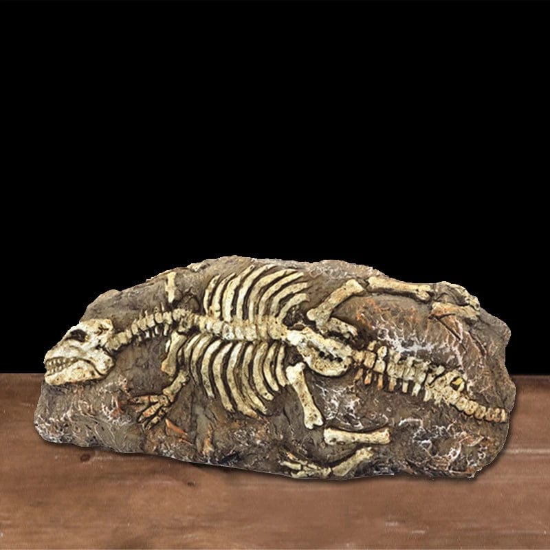 Tiere Schädel Fisch Tank Fossil Dinosaurier Ornamente Aquarium Nashorn Knochen Dekoration Fischschüssel Krokodil Quallen Karpfen Schildkröte | Brehn