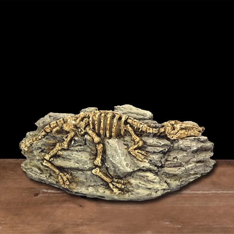 Tiere Schädel Fisch Tank Fossil Dinosaurier Ornamente Aquarium Nashorn Knochen Dekoration Fischschüssel Krokodil Quallen Karpfen Schildkröte | Brehn