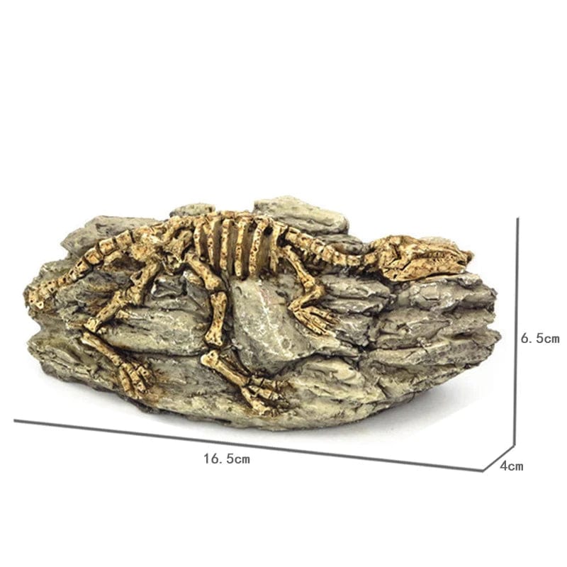 Tiere Schädel Fisch Tank Fossil Dinosaurier Ornamente Aquarium Nashorn Knochen Dekoration Fischschüssel Krokodil Quallen Karpfen Schildkröte | Brehn