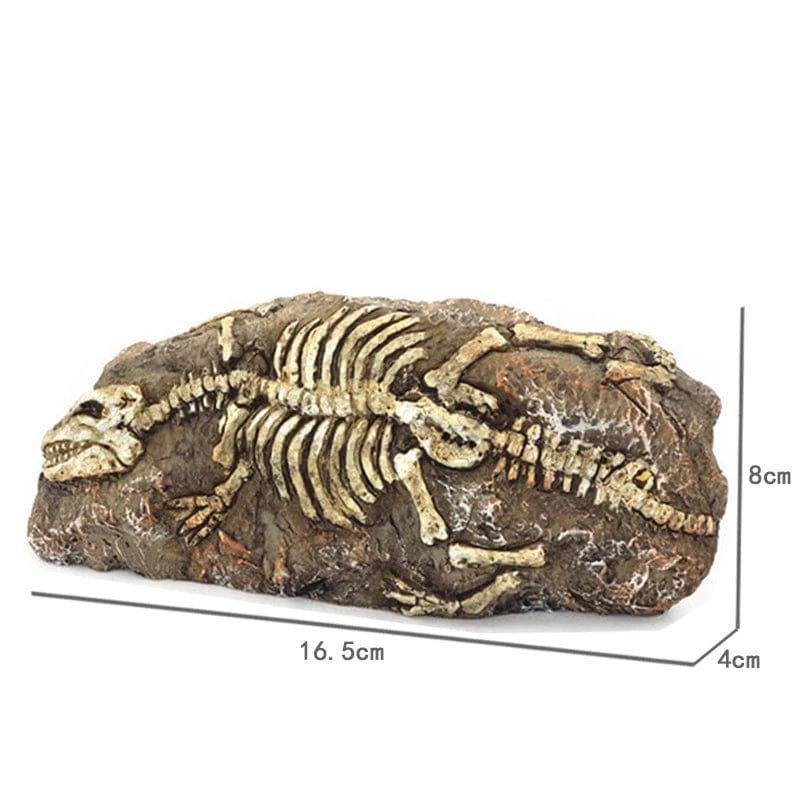 Tiere Schädel Fisch Tank Fossil Dinosaurier Ornamente Aquarium Nashorn Knochen Dekoration Fischschüssel Krokodil Quallen Karpfen Schildkröte | Brehn
