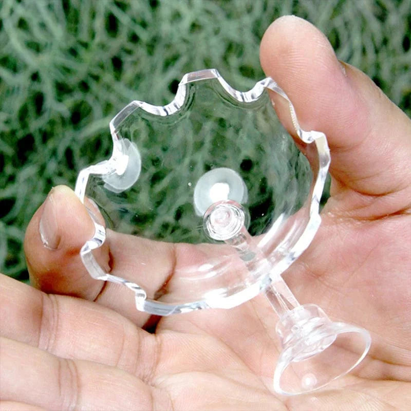 Shrimp Feeder Dish Shrimp Feed Dish Aquarium Fish Tank Shrimp Food Bowl Feeding Clear Glass Feeding Tube Dish Suction Accessory | Brehn