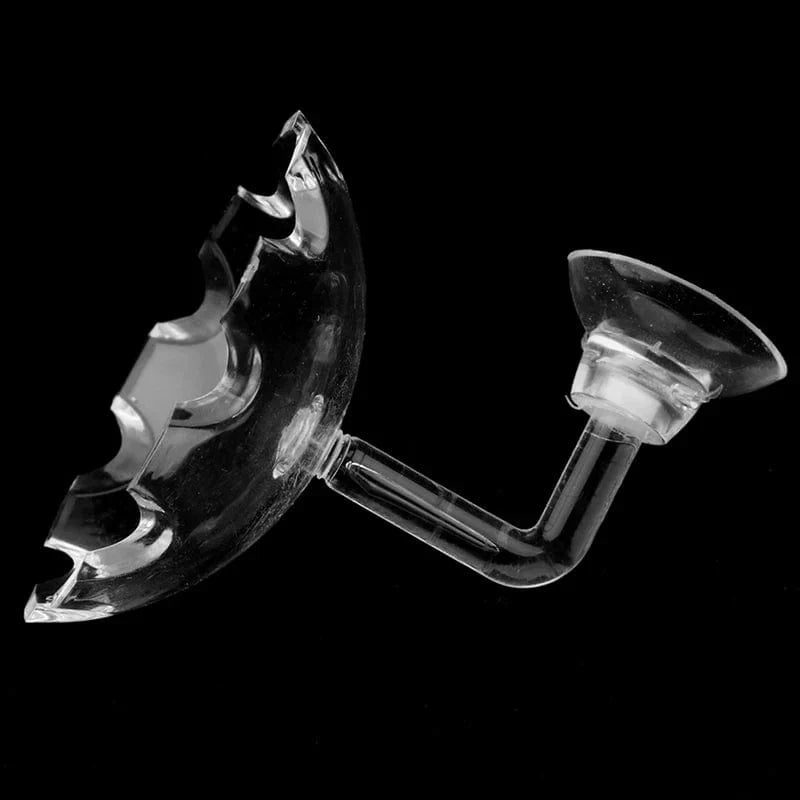 Shrimp Feeder Dish Shrimp Feed Dish Aquarium Fish Tank Shrimp Food Bowl Feeding Clear Glass Feeding Tube Dish Suction Accessory | Brehn