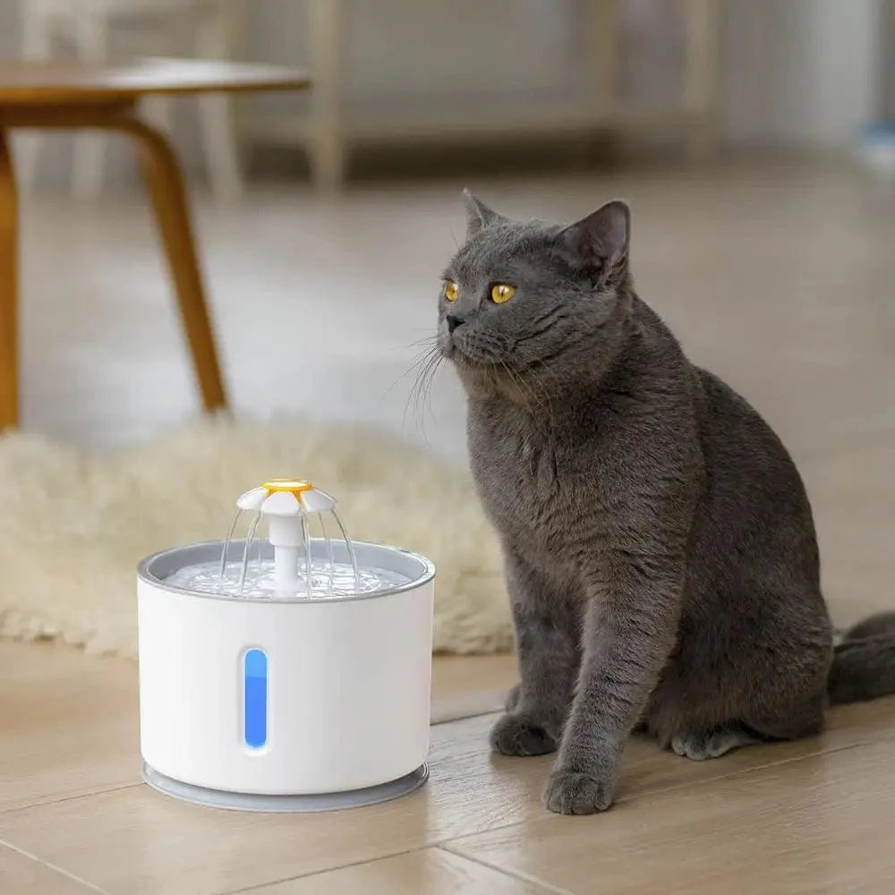 Automatische Haustier-Katzen-Wasserspender mit LED-Beleuchtung 5 Stück Filter 2,4L USB Hunde Katzen Leiser Trinker Futterspender Schüssel Trinkspender | Brehn
