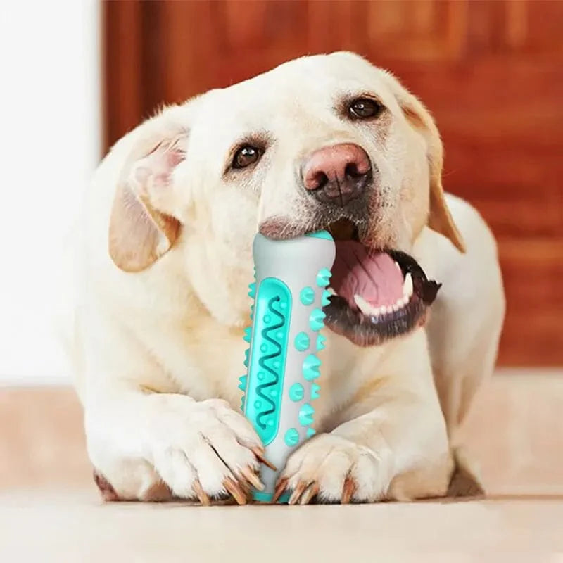 Hundespielzeug Zahnen Stick Kaubare Zähne Reinigung Knochen Hund Zahnbürste TPR Sicher Welpe Zahnpflege Reinigungs Spielzeuge Zubehör | Brehn