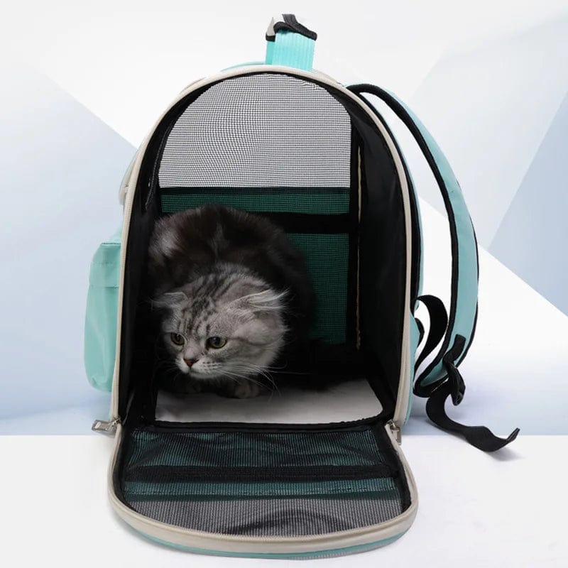 Katentrage Taschen Winddicht Outdoor Reise Rucksack für Katzen Kleine Hunde Transport Tragetasche Katzenrucksäcke mit Kissen | Brehn