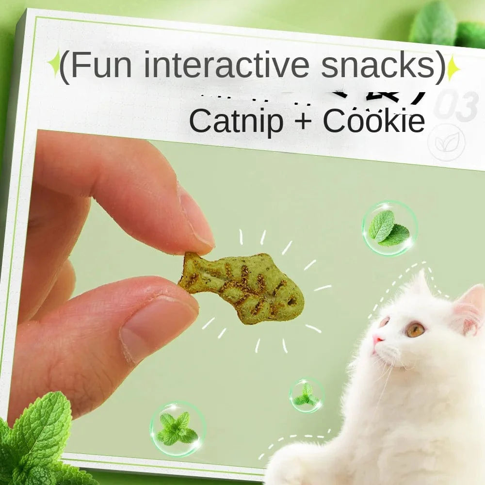 Kat Minze Keks Katze Essend Snack Haustier Mahlzahn Ernährung Dickmachend Kätzchen Snack Erwachsen Katze Belohnung | Brehn