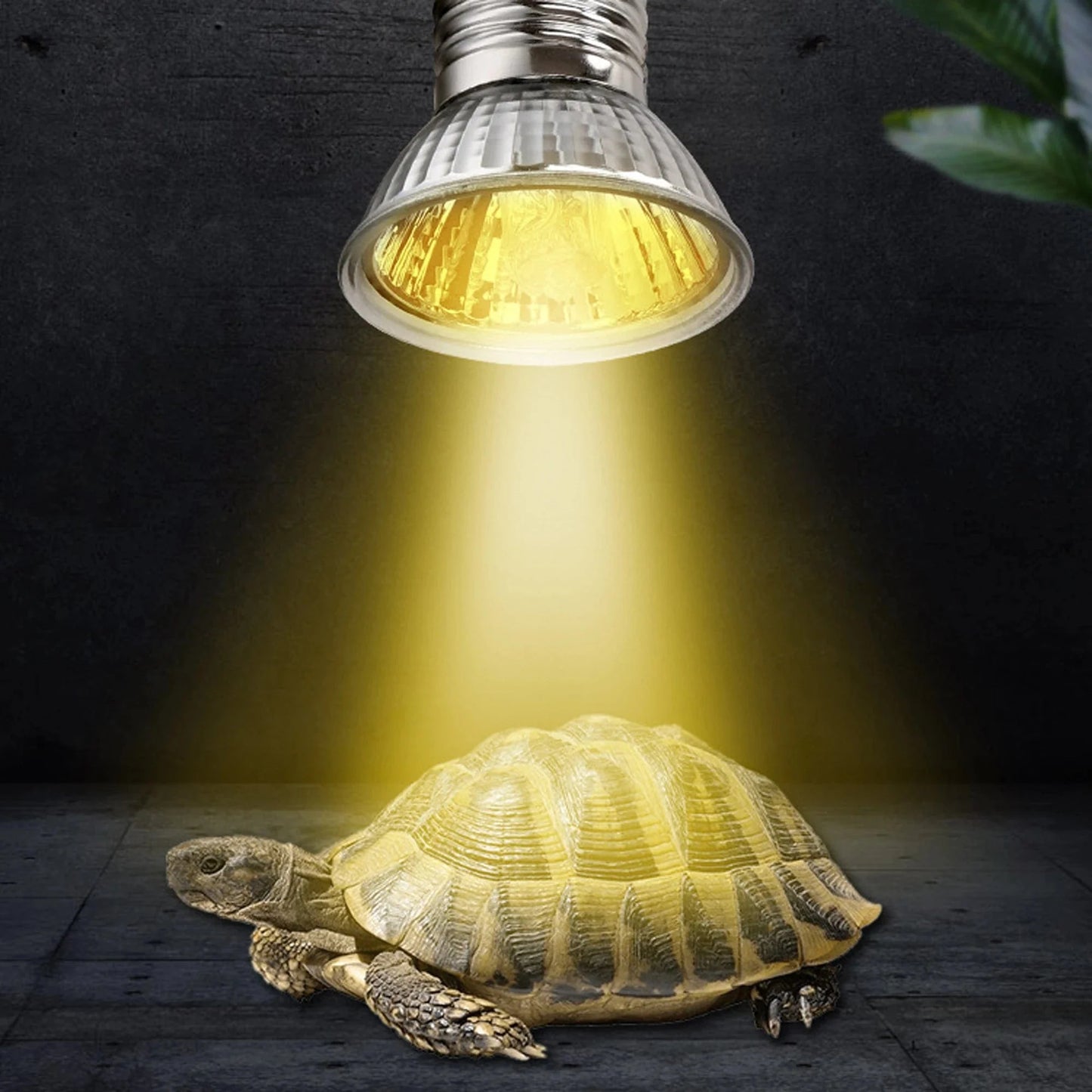CE Reptilienlampe UVA+UVB 3.0 Haustierheizlampe Glühbirne Schildkrötenbaskinglicht Glühbirnen Amphibien Eidechsen Temperaturregelung | Brehn
