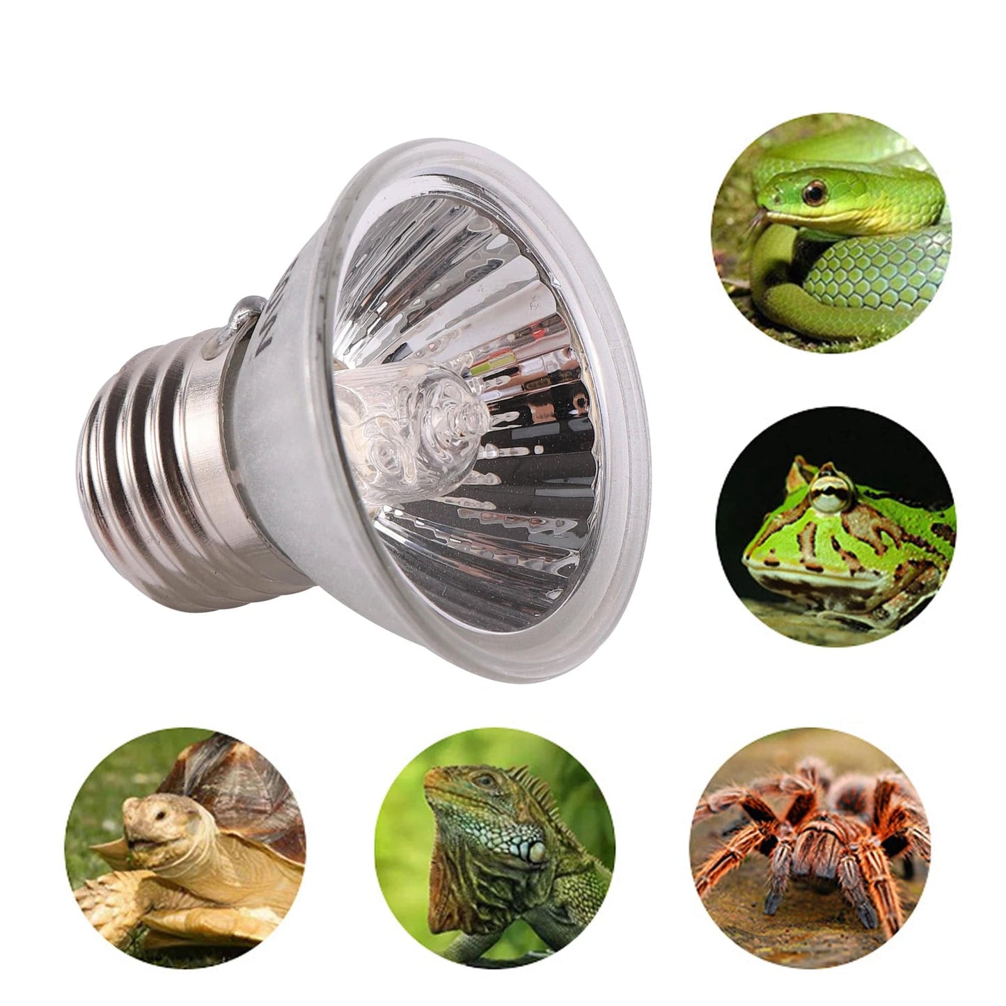 CE Reptilienlampe UVA+UVB 3.0 Haustierheizlampe Glühbirne Schildkrötenbaskinglicht Glühbirnen Amphibien Eidechsen Temperaturregelung | Brehn