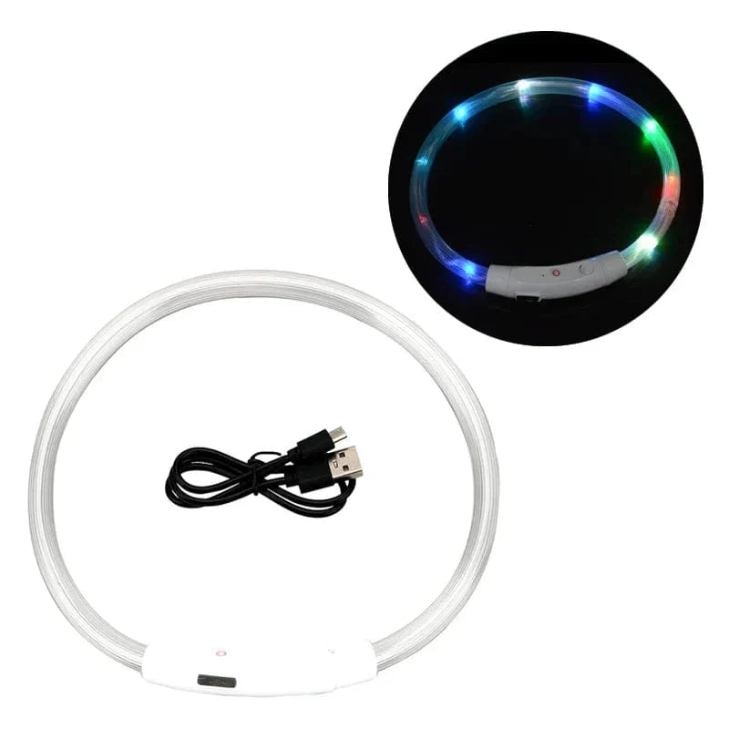 3 Modi Hund Luminou Ladehalsband Led Usb Katze Silikon Farbiger Kragen Abnehmbares Nachtleuchten Haustier Verlustprävention Hunde Zubehör | Brehn