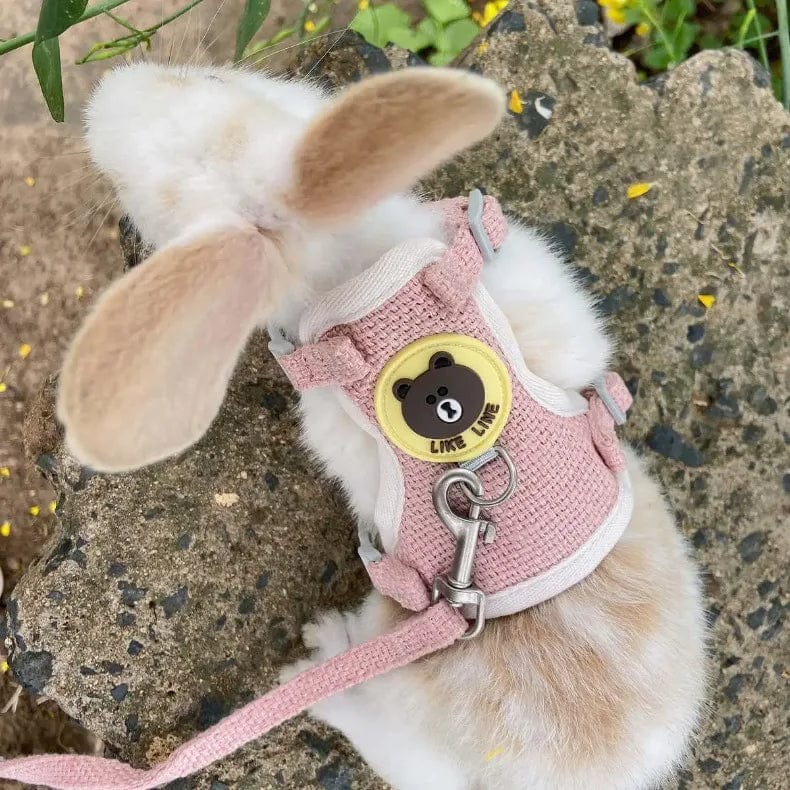 Süßes Kaninchen Geschirr Leine Set Bunny Haustierzubehör Kleintiertrage Teddy Katze Leine Kaninchenkragen Kaninchenzubehör | Brehn