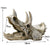 Tiere Schädel Fisch Tank Fossil Dinosaurier Ornamente Aquarium Nashorn Knochen Dekoration Fischschüssel Krokodil Quallen Karpfen Schildkröte | Brehn
