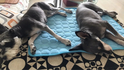 Hunde-Kühlmatte Sommerpad für Hunde Katzen Decke Atmungsaktives Hundebett Kennel Welpen Schlafsofa Kissen Hundezubehör | Brehn