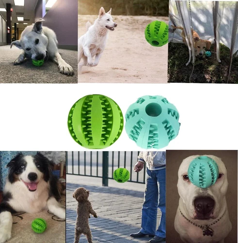 Hundfütterungsball Haustier Hundespielzeug Interaktive Gummibälle für kleine große Hunde Welpen Katzen Kau-Spielzeuge Haustier Zahnreinigung | Brehn