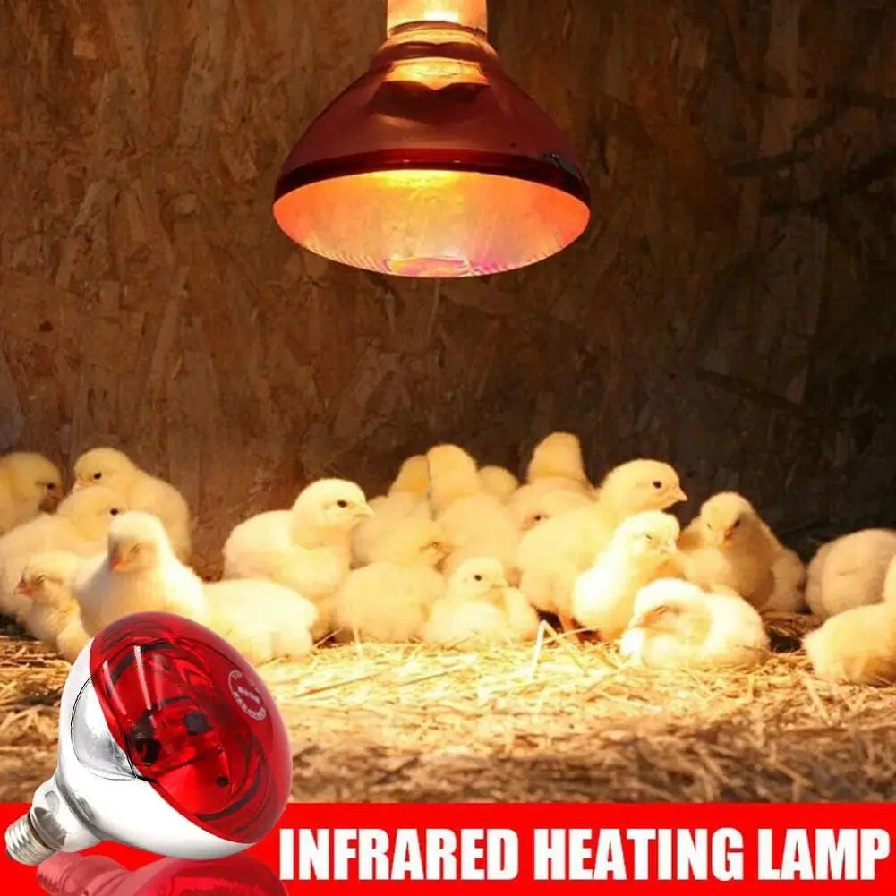 Farm Thermal Light Preservation Reptilienlebensraumlichter Hühner Infrarot Heizlicht Infrarotlampe Brutheizung Kükenlampe | Brehn