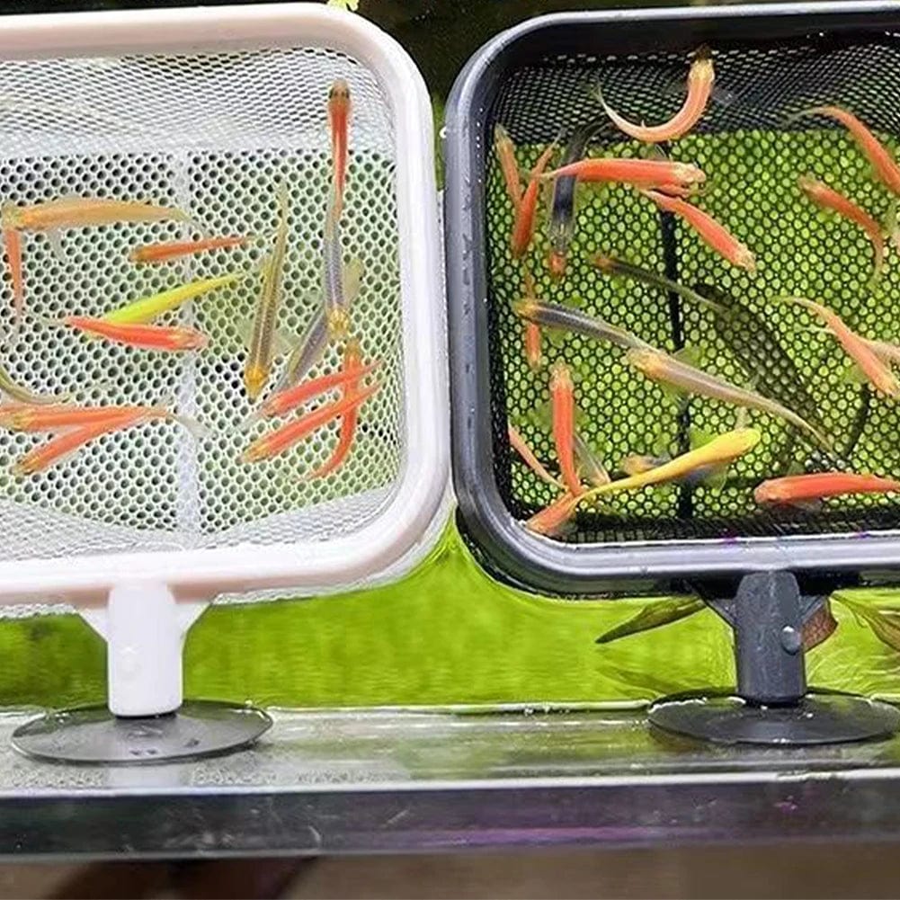 Fischen Landingnetz Rostfrei Korrosionsbeständig Edelstahl Fischernetz zum Fangen von Fischen Garnelen Tank Aquarium Zubehör | Brehn