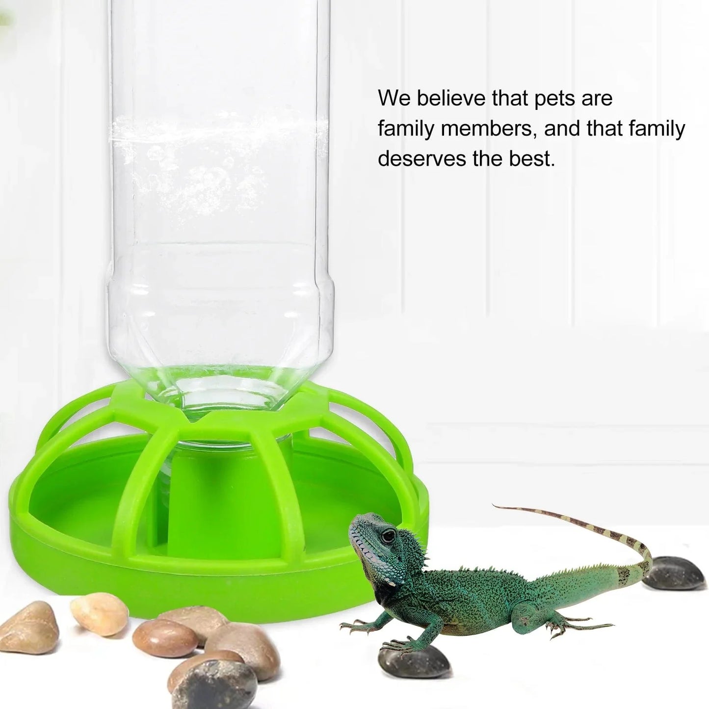 Wasserfütterer Erd Schildkröte Zubehör Gecko Terrarium Zubehör Reptilien für Perlmutt | Brehn