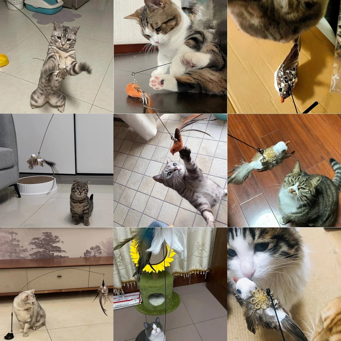 Handfree Bird/Feder Katzenangel mit Glocke Mächtiger Saugnapf Interaktive Spielzeuge für Katzen Kätzchen Jagd Bewegung Haustierprodukte | Brehn