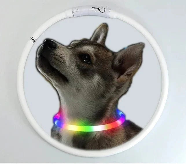 3 Modi Hund Luminou Ladehalsband Led Usb Katze Silikon Farbiger Kragen Abnehmbares Nachtleuchten Haustier Verlustprävention Hunde Zubehör | Brehn