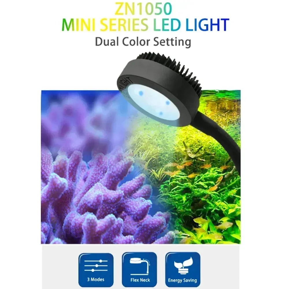 Zetlight LED Lampe M1 LED Vollspektrum Nano Kleine Aquarium Fischtank Salzwasser Salzwasser Marine Korallenriff LED und Pflanzenlicht | Brehn