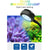 Zetlight LED Lampe M1 LED Vollspektrum Nano Kleine Aquarium Fischtank Salzwasser Salzwasser Marine Korallenriff LED und Pflanzenlicht | Brehn