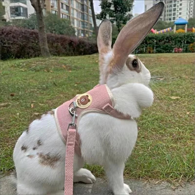 Neueste niedliche Kaninchen-Harness- und Leinen-Set Kaninchenhaustieraccessoires Weste Harnesses Kaninchenleinen für Outdoor-Spaziergänge Haustierzubehör | Brehn