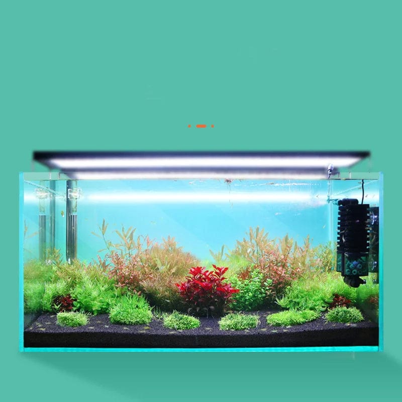 Qanvee Elektrische Wasser-Schwamm USB-Reiniger Biologischer Sauerstoff Fischtankfilter Schaum Aquarium Zubehör Filtro Ausrüstungsartikel | Brehn