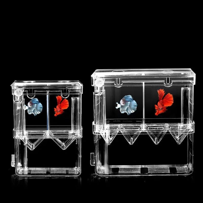 S/L/XL Aquarium-Acryl-Doppel-Deck-Klar-Fisch-Zucht-Isolationsbox Aquarium-Züchter Fisch-Brutkasten-Trenner Garnelen Fisch-Verletzt | Brehn