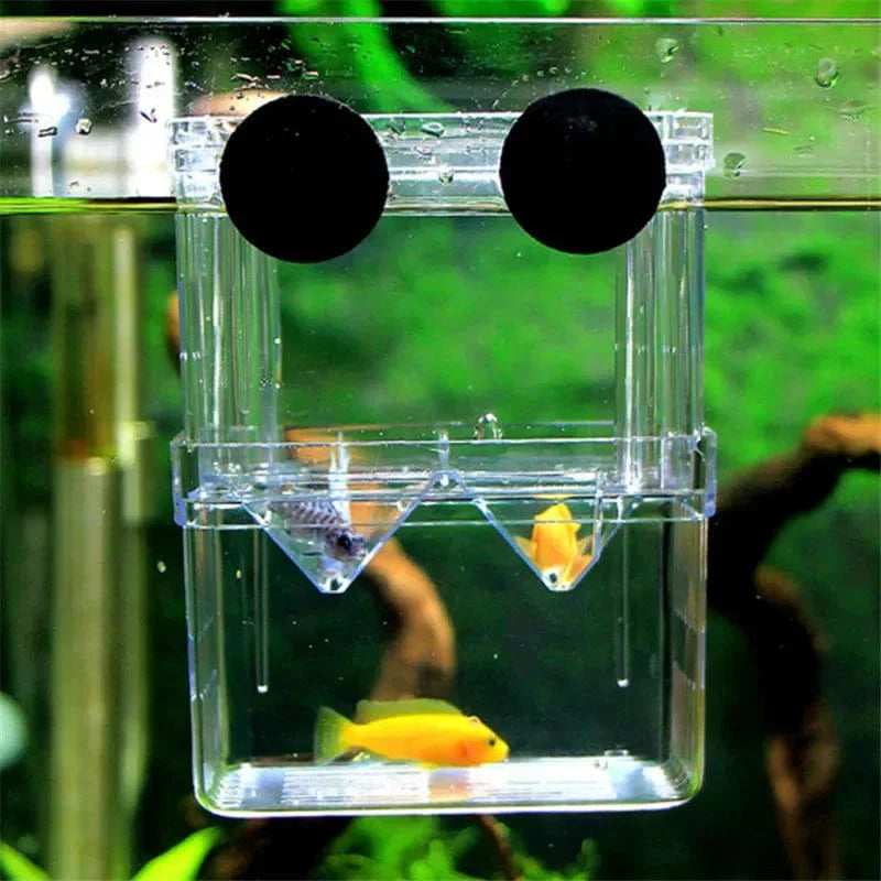 S/L/XL Aquarium-Acryl-Doppel-Deck-Klar-Fisch-Zucht-Isolationsbox Aquarium-Züchter Fisch-Brutkasten-Trenner Garnelen Fisch-Verletzt | Brehn