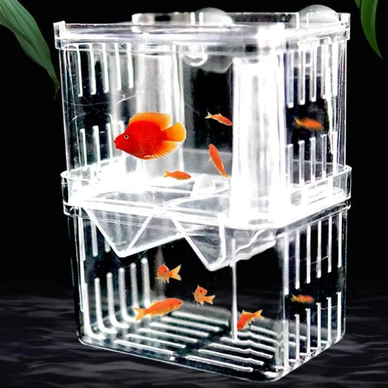 S/L/XL Aquarium-Acryl-Doppel-Deck-Klar-Fisch-Zucht-Isolationsbox Aquarium-Züchter Fisch-Brutkasten-Trenner Garnelen Fisch-Verletzt | Brehn