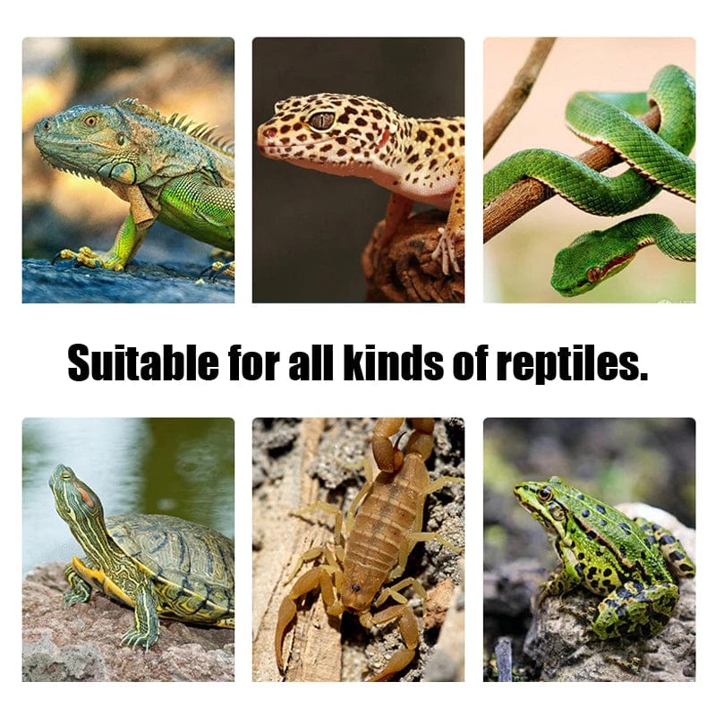 Terrarium Reptilien Eidechse Heizmatte Klettern Haustier Heizung Warme Pads Intelligente Verstellbare Temperaturregelung Matten 110v/220v | Brehn