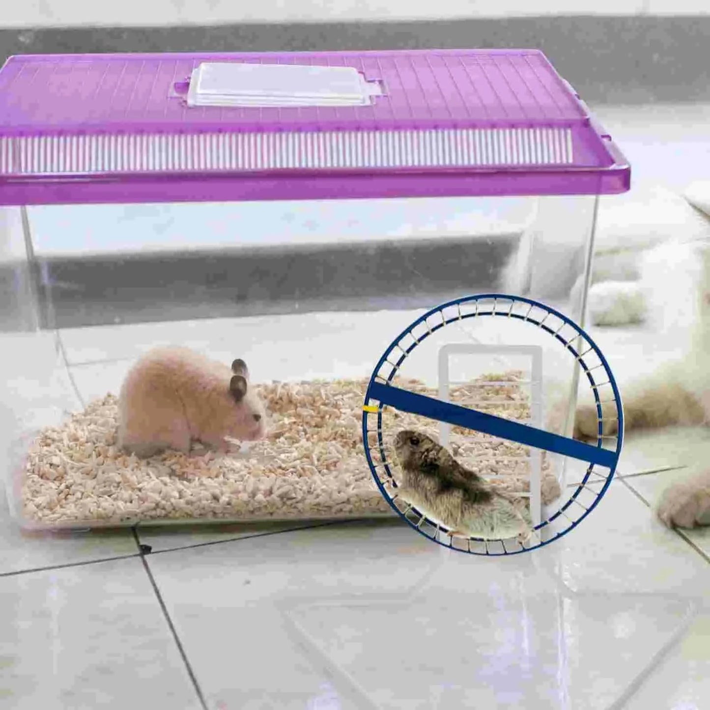 Metallhalterungen Laufrad Unterstützung Hamster Syrisch Übung Weiß Eisen Kleintier Ständer | Brehn