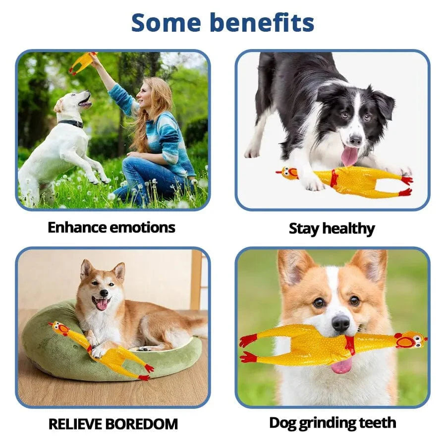Gelbe schreiende Huhn Hundespielzeuge Neuheit und langlebiges Kauspielzeug Geräusch Quetschschrei Spielzeug | Brehn