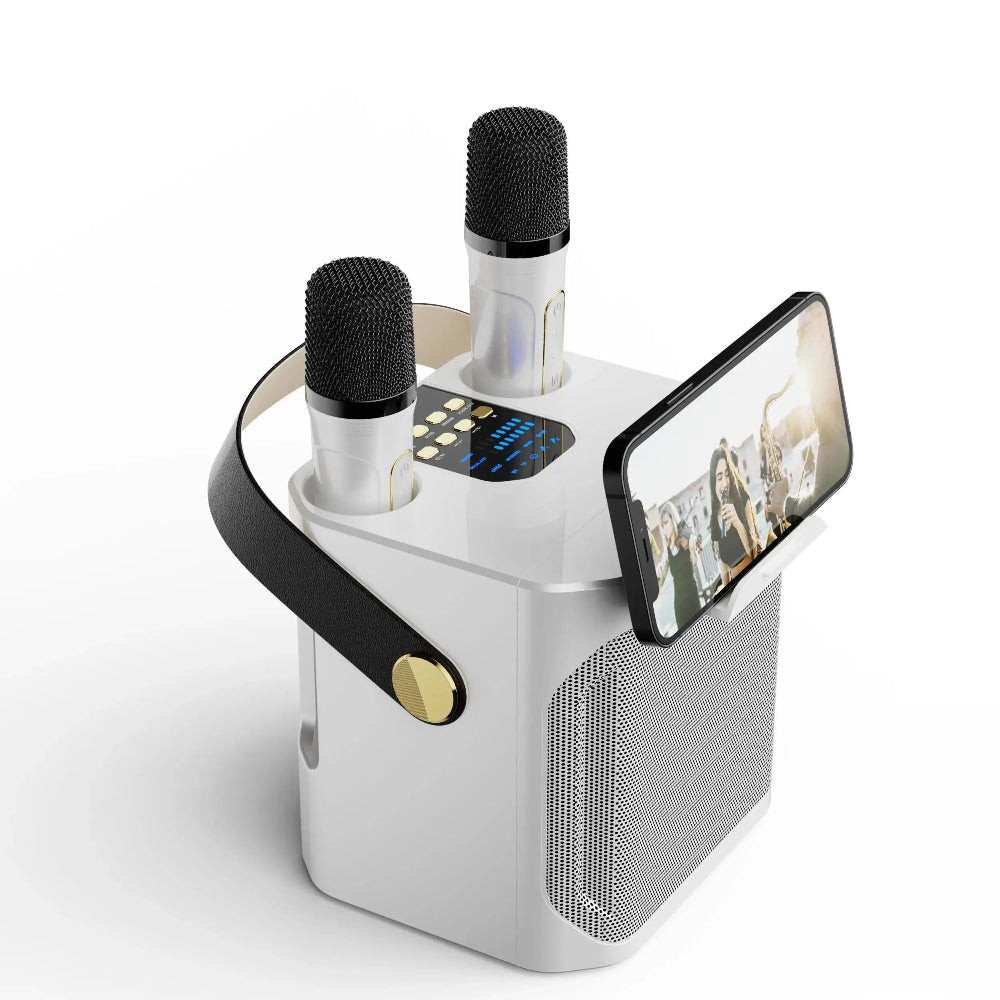 Brehn | Bluetooth-Lautsprecher Tragbare Drahtlose Karaoke-Maschine