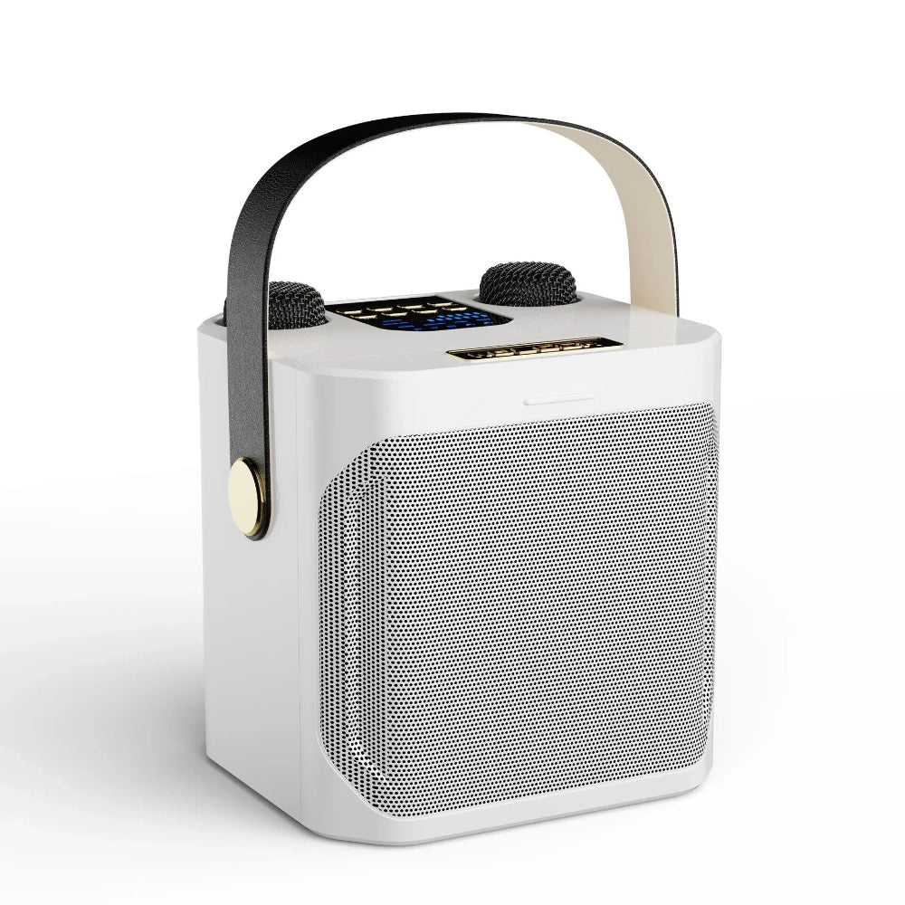 Brehn | Bluetooth-Lautsprecher Tragbare Drahtlose Karaoke-Maschine