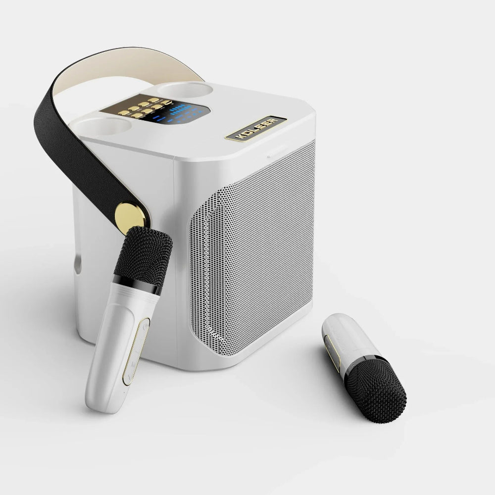 Brehn | Bluetooth-Lautsprecher Tragbare Drahtlose Karaoke-Maschine