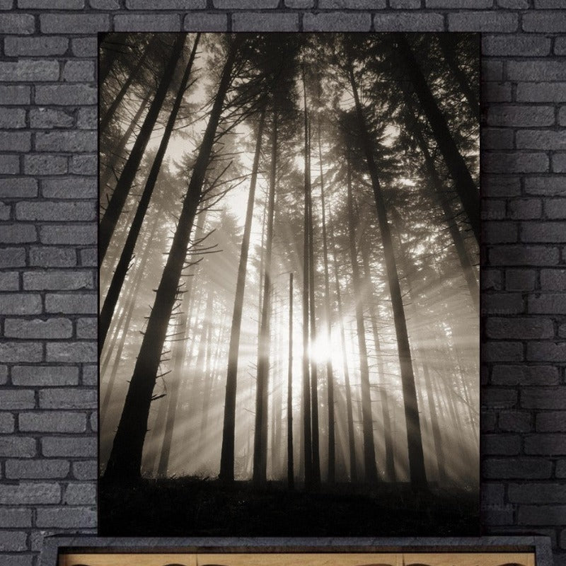 Wald Sonnenstrahlen Szene - Leinwand Wandkunst Gemälde
