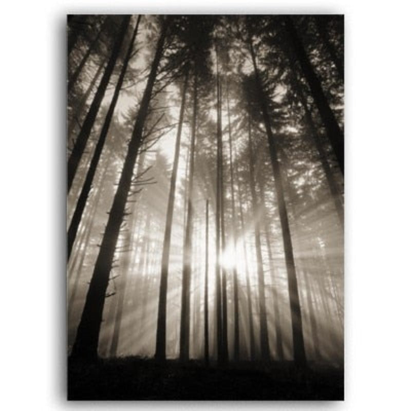 Wald Sonnenstrahlen Szene - Leinwand Wandkunst Gemälde