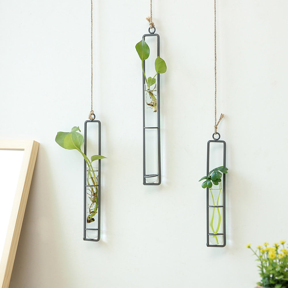 Eisen transparente Wand hängender Brehnumentopf | Brehn