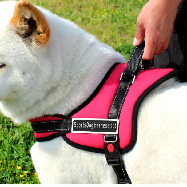 Hundegeschirr zum Spazierengehen | Brehn