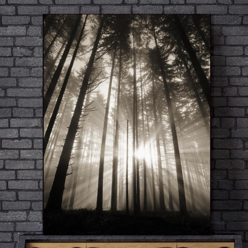 Wald Sonnenstrahlen Szene - Leinwand Wandkunst Gemälde