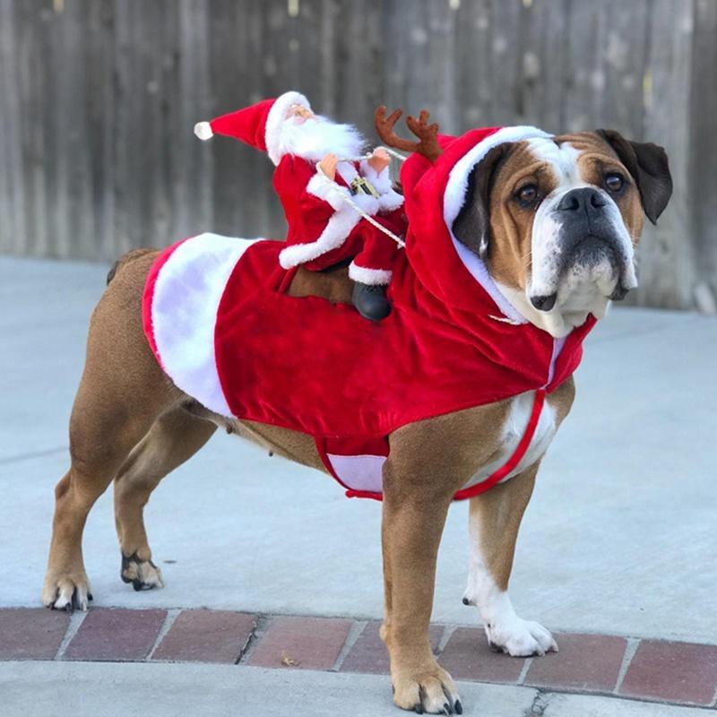 Weihnachts-Hundekostüm | Brehn