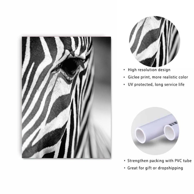 Afrikanischer Zebra - Leinwand Wandkunst Gemälde